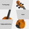 [Do Not Sell on Amazon]Full Size 4/4 Violin Set for Adults Beginners Students with Hard Case,Violin Bow,Shoulder Rest,Rosin,Extra Strings and Sordine