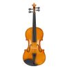 [Do Not Sell on Amazon]Full Size 4/4 Violin Set for Adults Beginners Students with Hard Case,Violin Bow,Shoulder Rest,Rosin,Extra Strings and Sordine