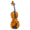 [Do Not Sell on Amazon]Full Size 4/4 Violin Set for Adults Beginners Students with Hard Case,Violin Bow,Shoulder Rest,Rosin,Extra Strings and Sordine