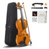 [Do Not Sell on Amazon]Full Size 4/4 Violin Set for Adults Beginners Students with Hard Case,Violin Bow,Shoulder Rest,Rosin,Extra Strings and Sordine