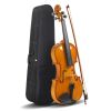 [Do Not Sell on Amazon]Full Size 4/4 Violin Set for Adults Beginners Students with Hard Case,Violin Bow,Shoulder Rest,Rosin,Extra Strings and Sordine